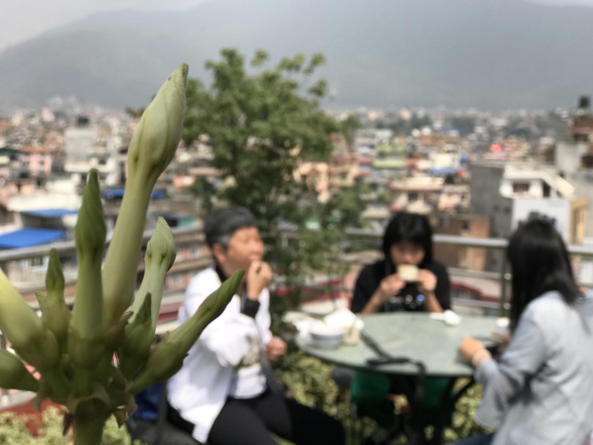 Hotel Darwin Kathmandu Esterno foto